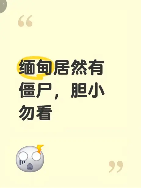 缅甸僵尸出土事件高清无删减完整版 - 在线免费播放揭秘缅北真相 - 《缅甸僵尸出土事件视频》全网最新资源