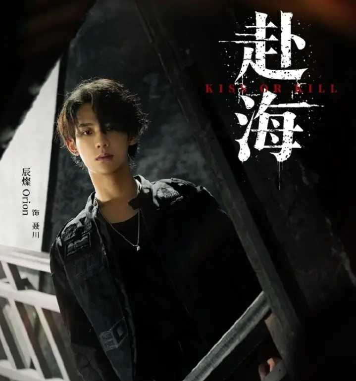 《赴海》电视剧全集免费观看-《赴海》手机在线播放高清版-辰燦主演爱情剧完整版资源-全程无广告在线观看
