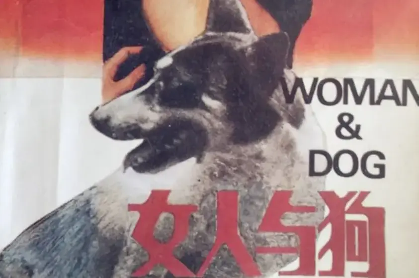 资源图片