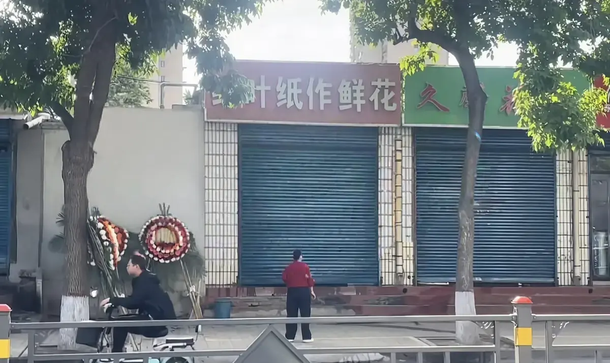 《原平纸艺鲜花店门口实拍视频》高清完整版在线播放-原平纸艺鲜花店门口现场实拍无删减视频-1080P画质流畅不卡顿观看