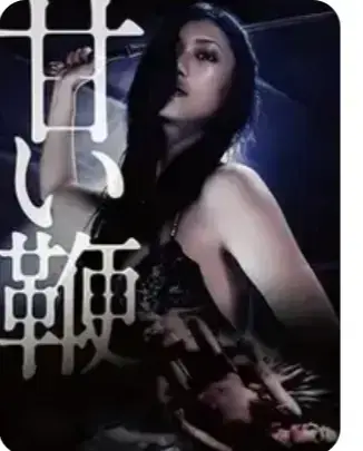 《甜蜜皮鞭》无删减版全集在线看-高清《甜蜜皮鞭》免费播放-1080P超清中文版资源