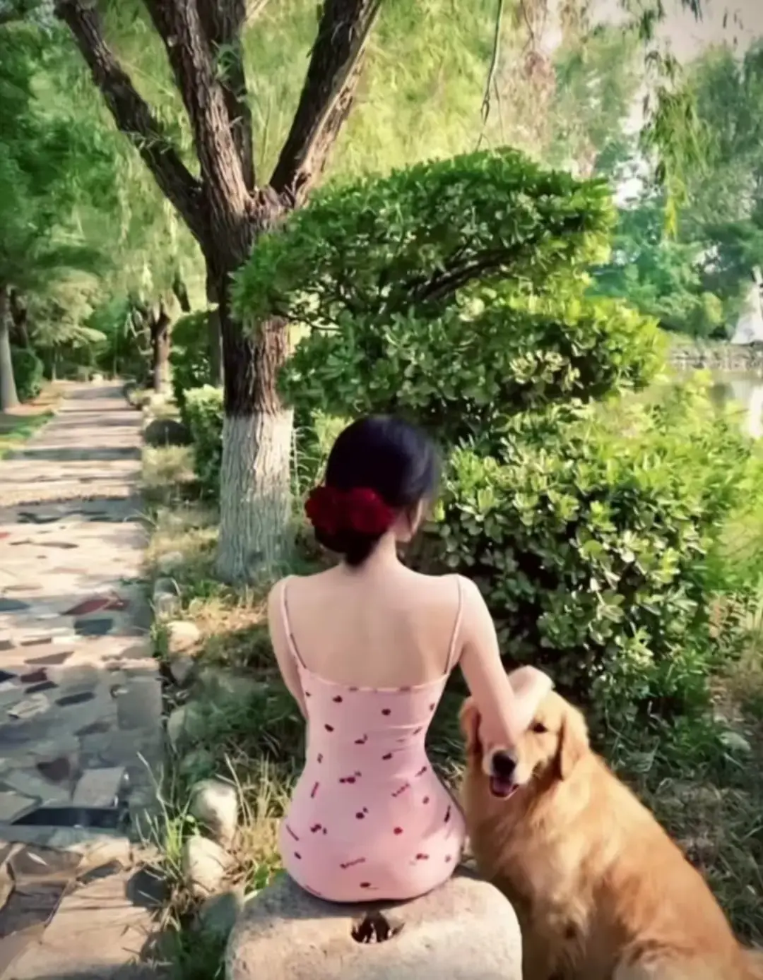 《香香公主与金毛爱犬高能瞬间》全3集完整版在线观看-高清1080P画质免费播放-见证跨物种深情暖心羁绊