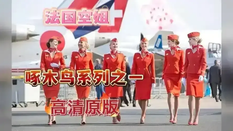 《法国空姐2019/不雅空乘》1080P高清无删减版在线观看-《法国空姐》完整版国语中字免费播放-职场情感大片无障碍观影