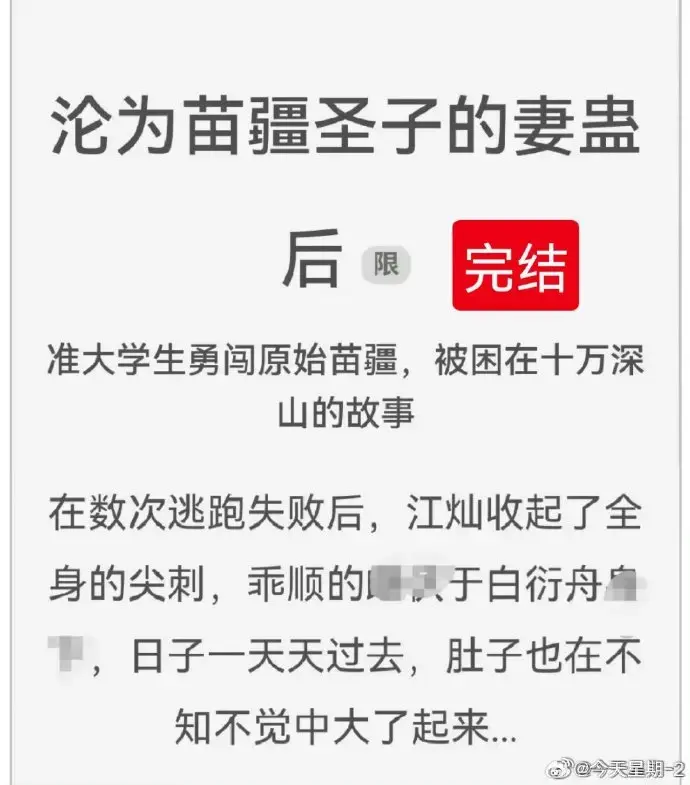 《沦为苗疆圣子的妻蛊后》狐狸雨小说免费阅读txt下载-无删减完整版在线看-全集资源分享推荐收藏