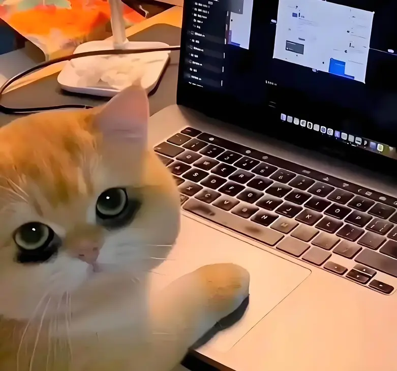 资源图片